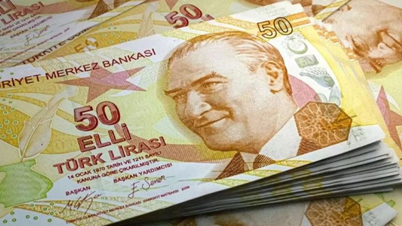 50 TL'nin arkasında kim var? Fatma Aliye'yi tanıyın
