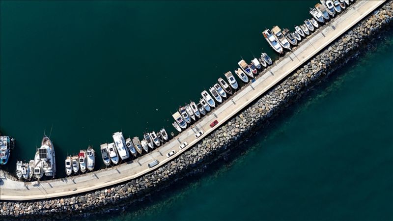 Ege'de balıkçıların ağlarını sardalya doldurdu