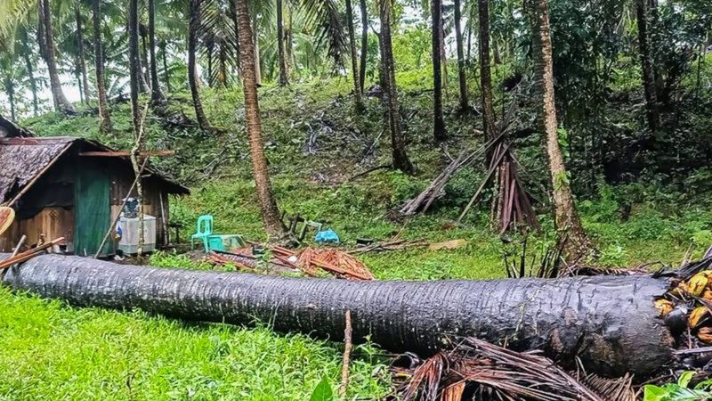 Filipinler'de tropik fırtına etkili oldu: 7 can kaybı