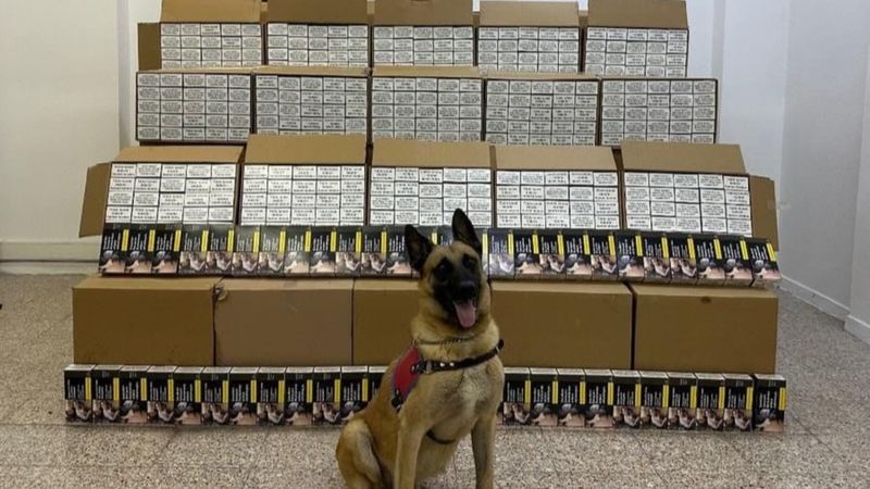 Tokat’ta 1 milyon adet bandrolsüz makaron ele geçirildi