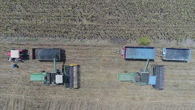 Çiftçilere yaklaşık 2,8 milyar lira destekleme ödemesi yapıldı