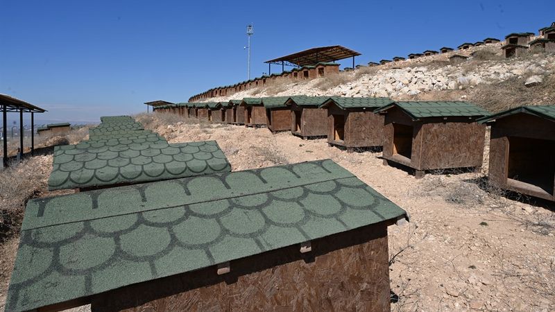 Batman'da 170 dönümlük hayvan bakım evi tepki çekti