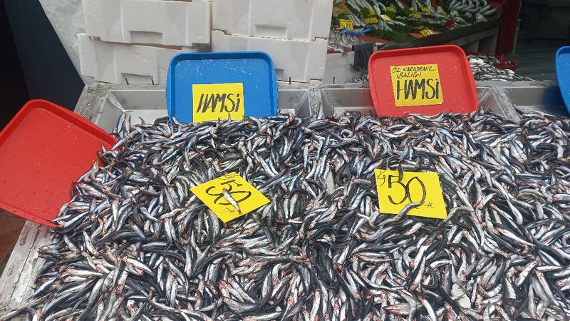 Edirne'de Karadeniz'den gelen Hamsinin kilosu 50 liraya kadar düştü