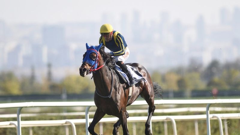 87. Cumhurbaşkanlığı Koşusu'nda Grande Flusso zaferi