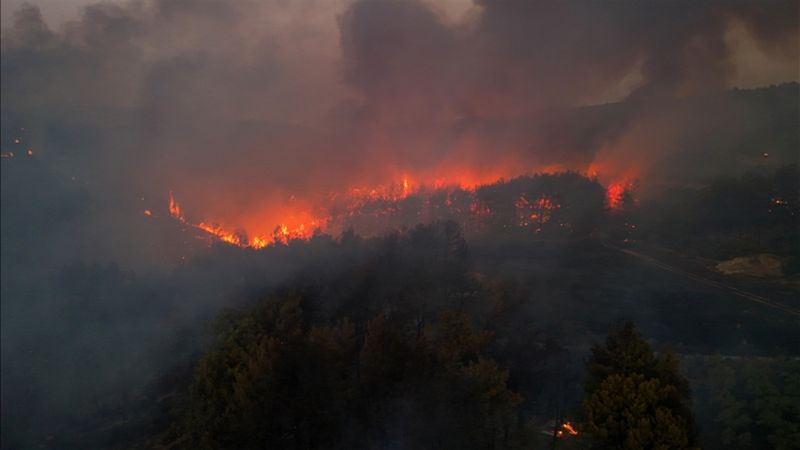 İzmir'de minibüste başlayıp ormana sıçrayan yangın: 4 sanığa 7'şer yıl hapis istemi