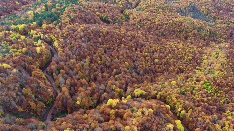 Bolu Mengen'de sonbahar güzelliği