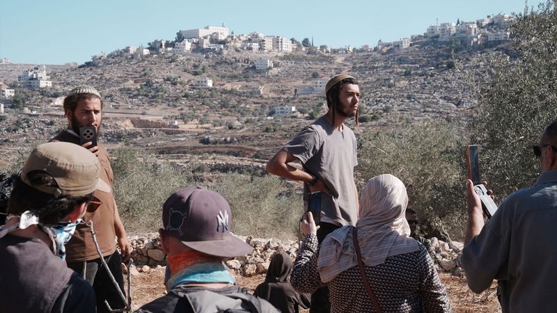 İsrail zulmünün öteki yüzü: Zeytin ağaçları neden hedef alınıyor