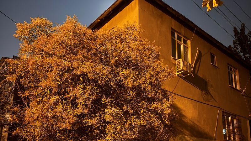 Kocaeli'de çatlak ve kayma tespit edilen 2 katlı bina boşaltıldı