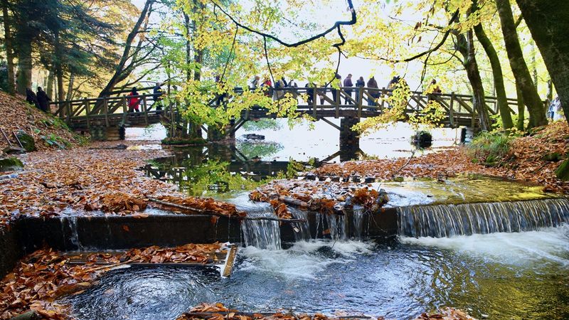 Yedigöller sonbaharda ziyaretçi akınına uğruyor