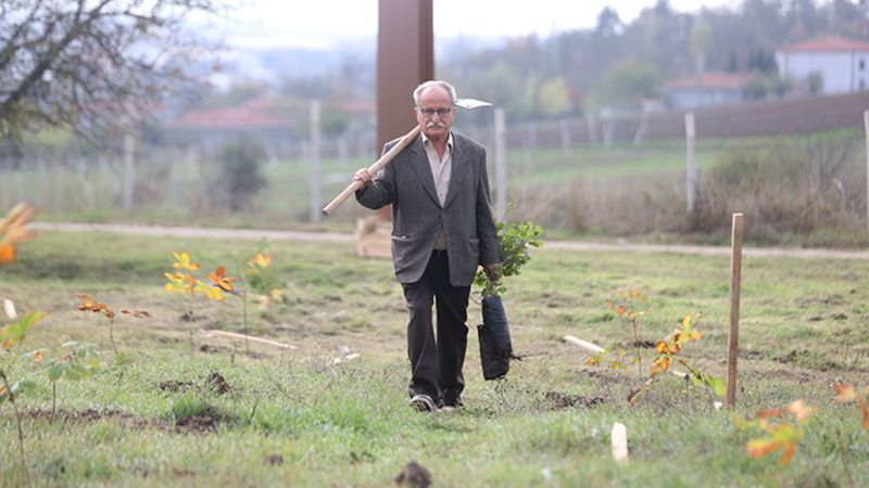 Çanakkale'de bir fidanla başlayan ömürlük doğa sevgisi