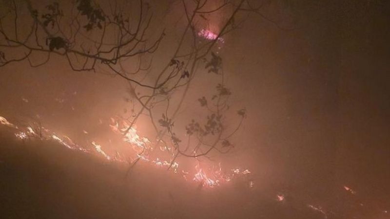 Hatay'da çıkan orman yangını kontrol altında