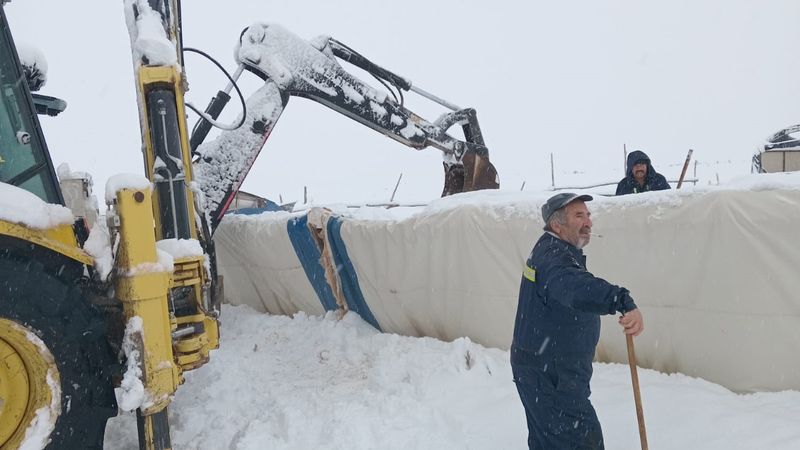 Sivas’ta üzerinde kar biriken çadır çöktü: 8 koyun telef oldu