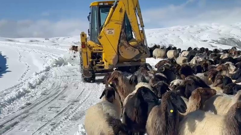 Muş'ta kar ve tipi etkili oldu: 14 köy yolu ulaşıma kapandı