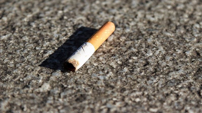 Almanya'da çevre kirliliğiyle mücadelede rekor cezalar: İzmarite 3 bin euro, moloza 100 bin euro