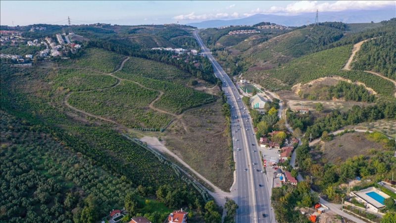 Bursa’da yanan ormanlar yeniden yeşillendirildi