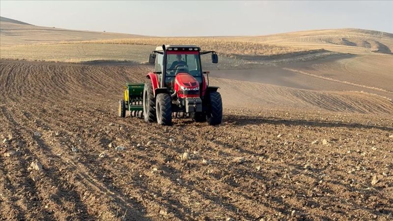 Kuraklık nedeniyle Yozgat'ta buğday ekimi kasım ayına sarktı