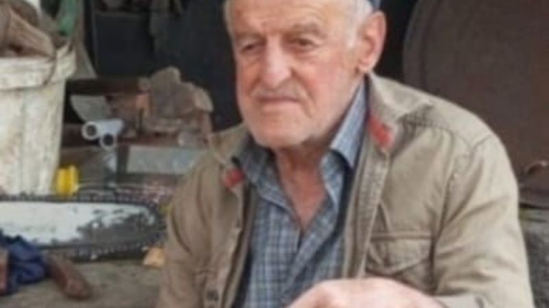 Bolu'da mantar toplamaya gitti, öldü