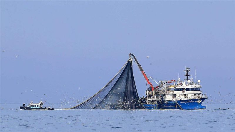 Karadeniz'de su sıcaklığı düşmeyince hamsi uzaklaştı