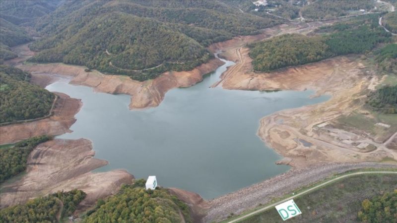 Yalova, Kocaeli, Düzce, Sakarya! Kıtlık başlıyor...