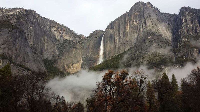 ABD'de oturum izni olmayanlar, parklara fazla para ödeyerek girecek