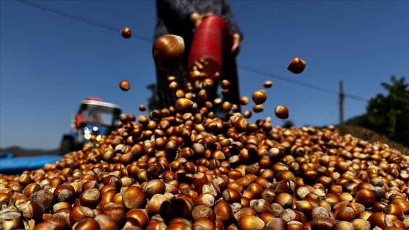 Üç aylık sürede 21 borsada, 138 bin tonu aşkın fındık işlem gördü