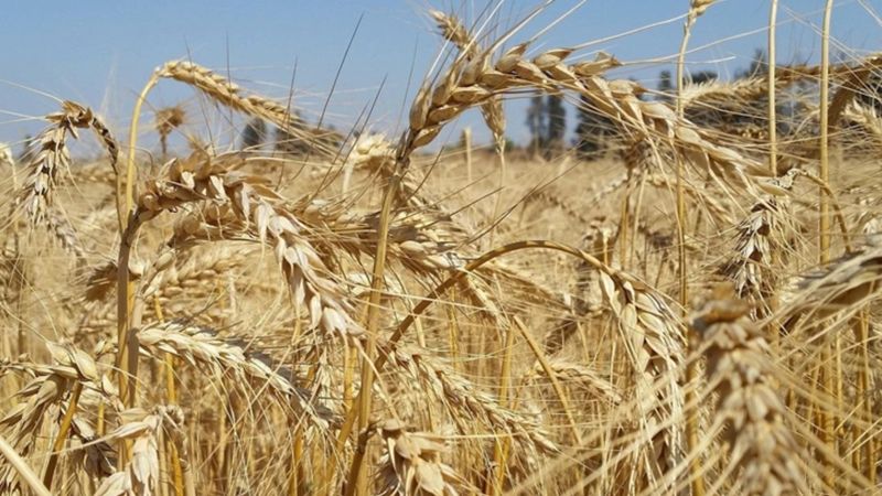 BM'den su ve gıda israfıyla mücadelede iş birliği çağrısı