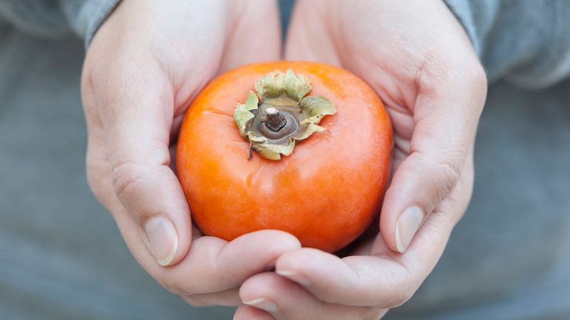 Cennet hurması: Kış aylarında sindirim ve damar sağlığına doğal destek