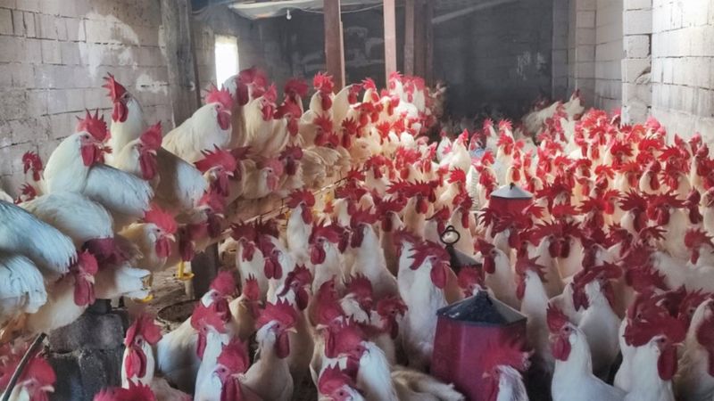 Hobiydi, iş oldu; 3 yılda bakın neler yaptı...