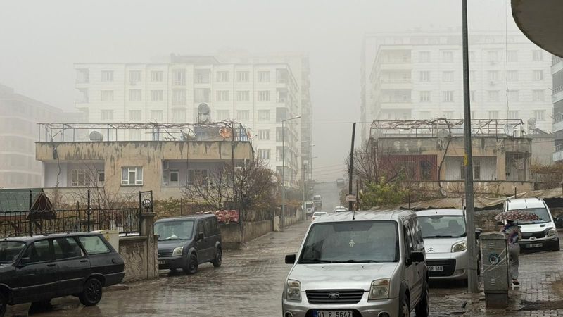 Siirt'te etkili olan sis ve sağanak yağış günlük yaşamı olumsuz etkiledi