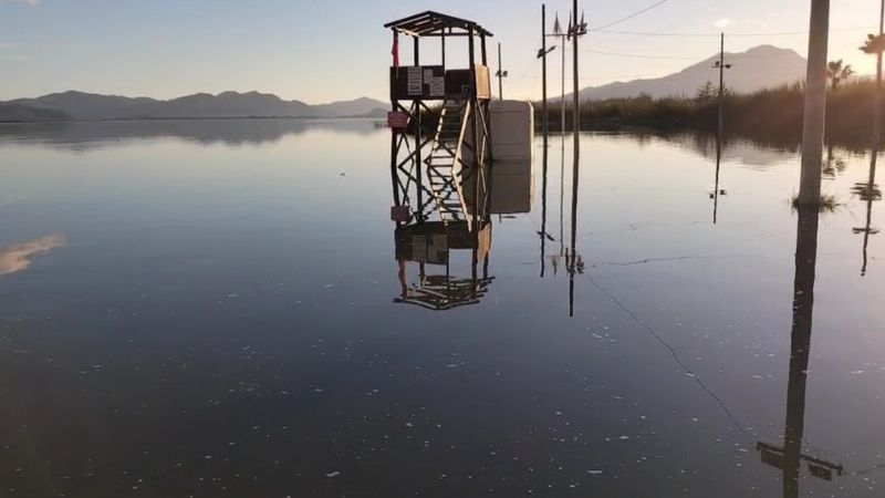 Muğla'da süren yağışlar Köyceğiz Gölü'nü taşırdı: Kordon ve plaj sular altında kaldı