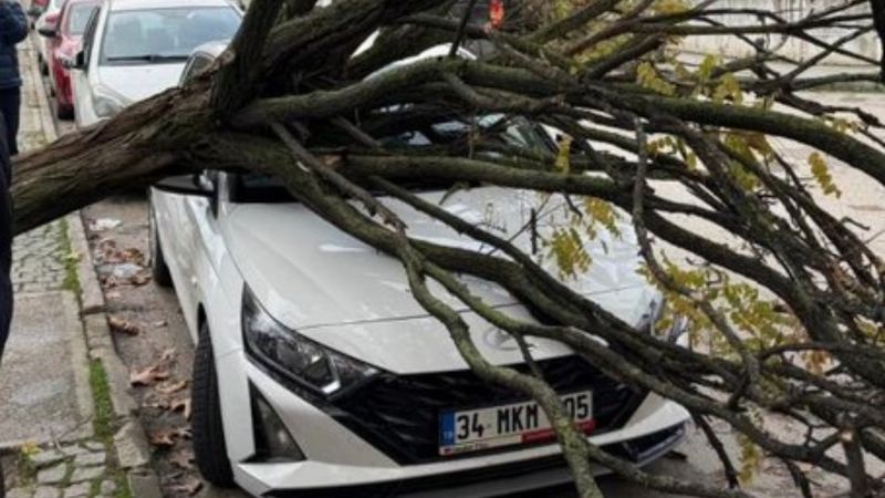 Bursa’da park halindeki araçların üzerine ağaç devrildi