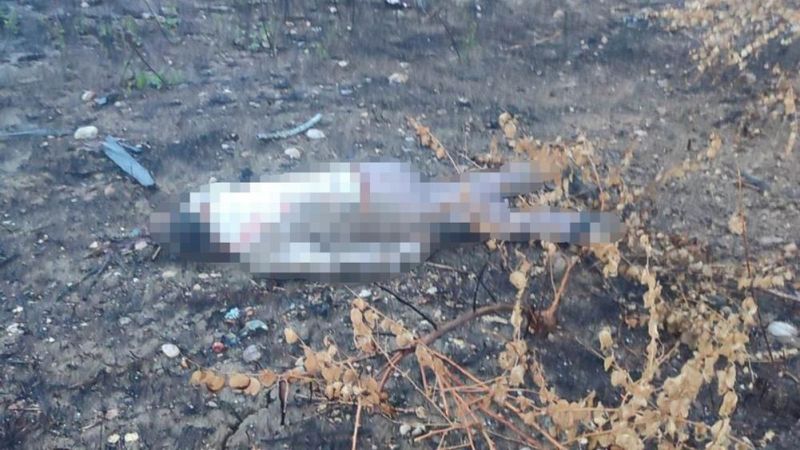 Mersin’de kaza: Sürücü 30 metreden aşağı düştü