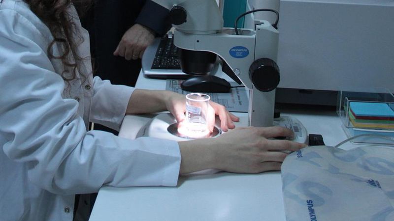 Karabük Üniversitesi'nde kolon kanseri tespitinde yapay zeka devrimi