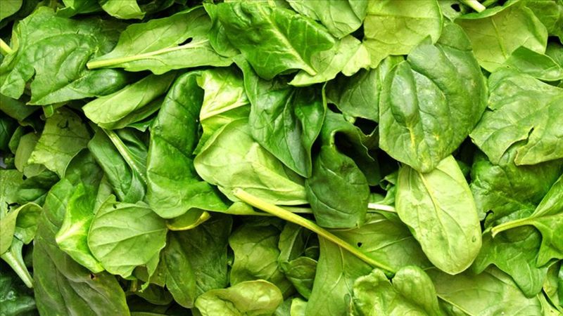 Ispanakları bu yöntemle yıkayın, pestisitten arındırın...