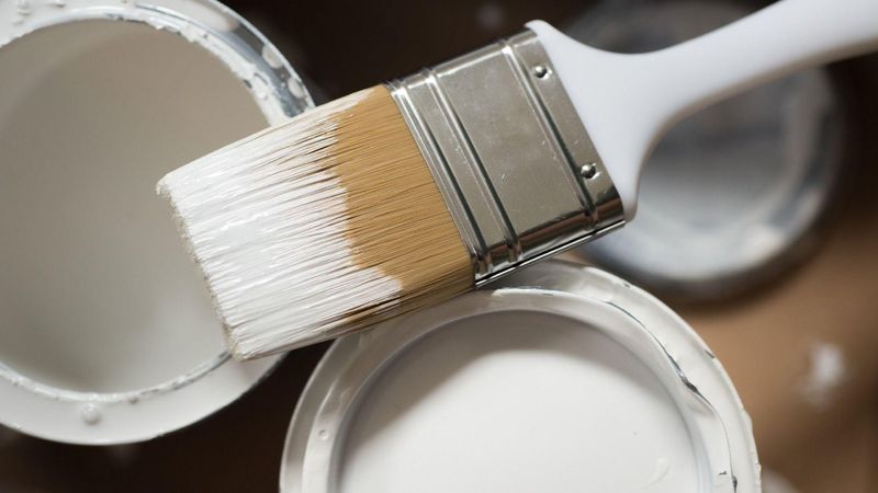 Usta ressam açıkladı: Eve en çok yakışan 4 duvar rengi…