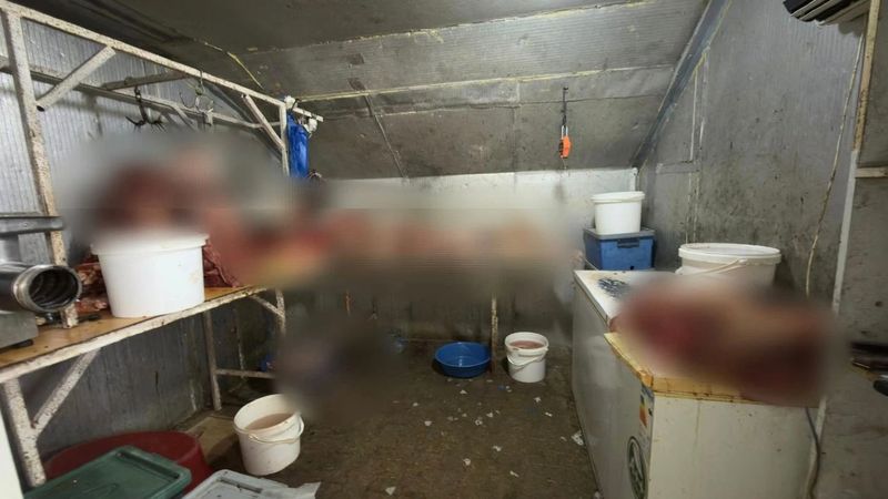 Eskişehir'de at kesimi yapan işletmeye operasyon: 215 kilo at eti ele geçirildi