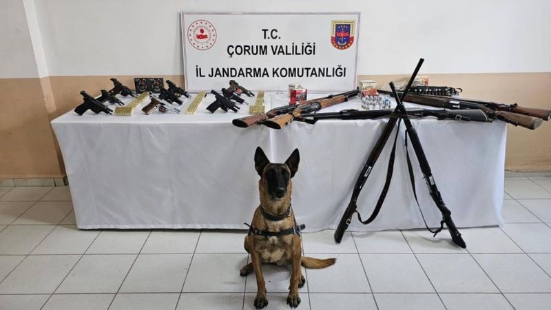 Çorum’da düğün magandalarına operasyon: 11 gözaltı