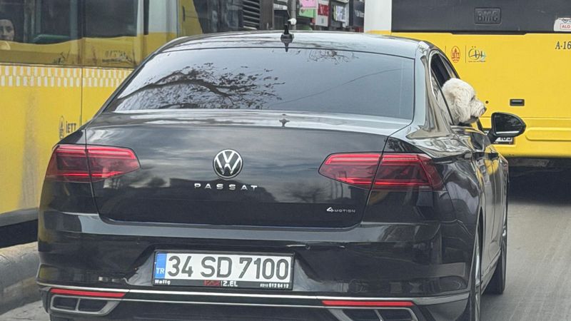 Hilmi Türkmen: Üsküdar'da makam aracını köpeğe tahsis ettiler