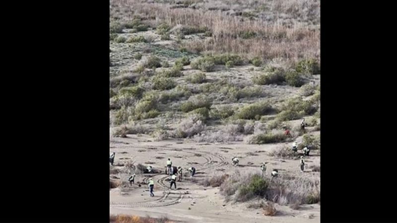 Ağyatan Lagünü'ne 100 bin yeni ağaç: Ekosistem koruma çalışmaları