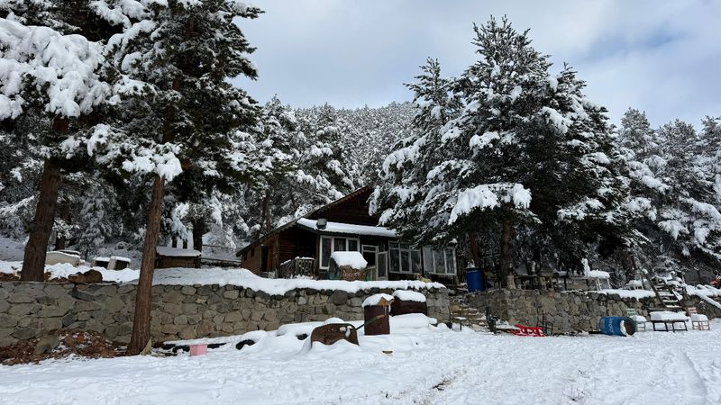 Gümüşhane'de kar yağışı: Kent Ormanı, beyaza büründü