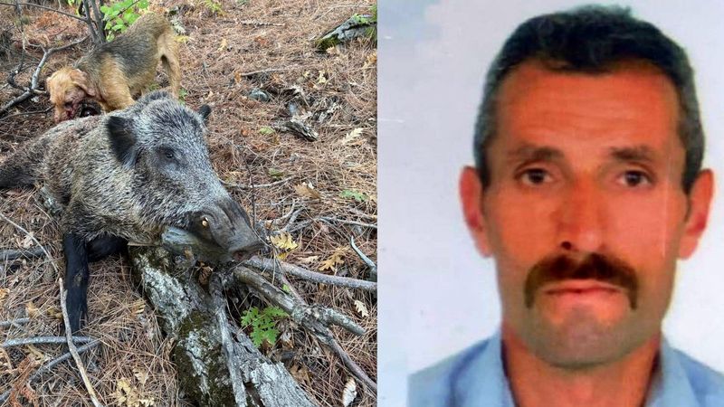 Erzincan'da domuz saldırısı can aldı