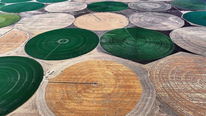 Tarım ürünlerinin depolama süreleri uzatıldı: 18 aydan 24 aya