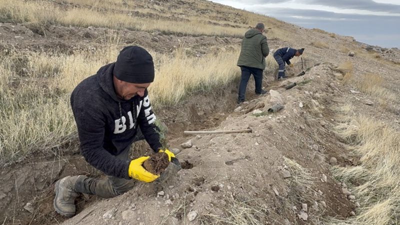 Türkiye’nin en kirli havasına sahip Iğdır'da yeşil seferberlik