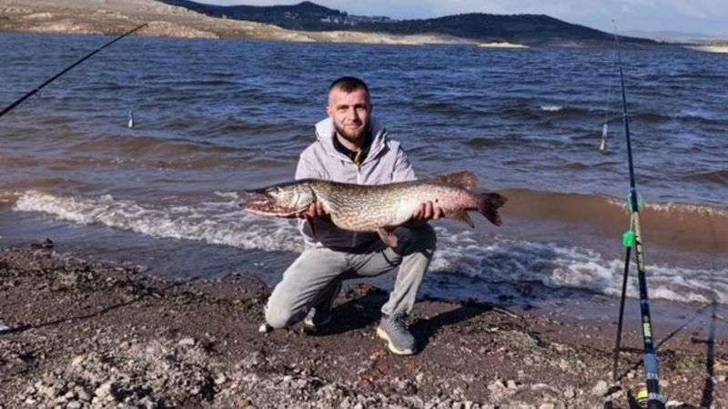 Çaygören Barajı’nda dev turna sürprizi
