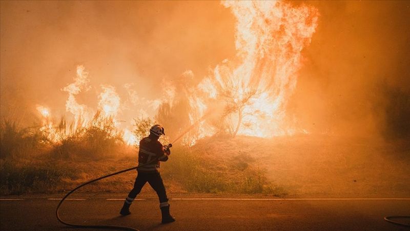İspanya'da bu yıl 350 bin hektardan fazla ormanlık alan yandı