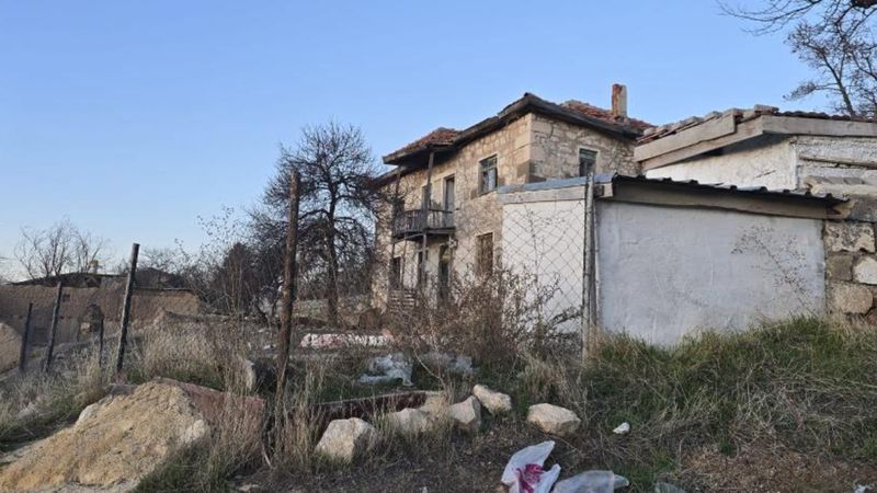 Ankara'da bahçede bağlı köpek çocuklara saldırdı