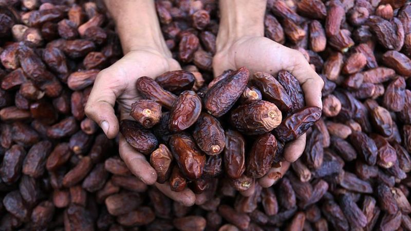 Türkiye'den Filistin'e hurmada kota desteği