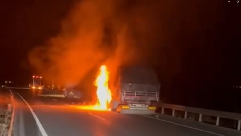 Erzincan’da seyir halindeki tır alev alev yandı