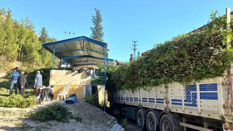 Gıda, İlaç, Kozmetik… Hepsinde var! Kilosu 25 TL’den satılıyor