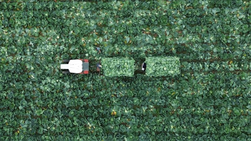 Çiftçi Kayıt Sistemi'ne başvurmak için son tarih 31 Aralık